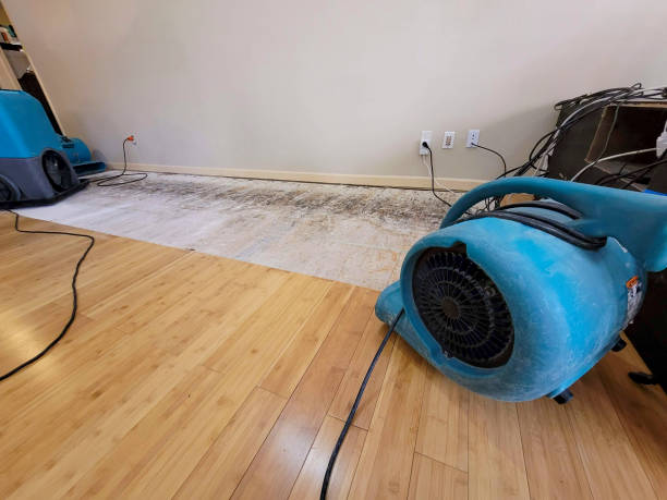 Professional Water Damage Repair technician working in Converse, IN